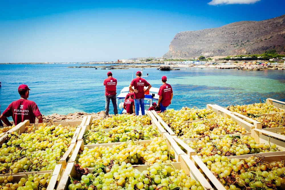 海のワインに合わせるシチリアの郷土料理たち